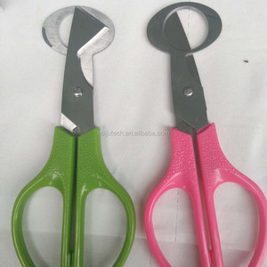 Ciseaux à œufs de caille portables, plusieurs couleurs disponibles, outil manuel pour ouvrir les coquilles <span class=keywords><strong>d</strong></span>'œufs de caille, pour la cuisine et les restaurants, HJ-DN012 - Product Image 4