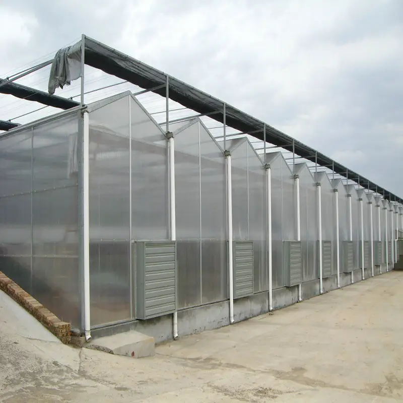 Polycarbonate agricultural blackout greenhouse