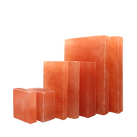 Briques de sel de l'Himalaya personnalisables de 0,8 pouce pour spa, sauna, salle de vapeur, 20*10*2 cm, toutes tailles, technique de sculpture pour Noël
