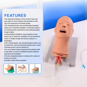 Maniquí de PVC Multifuncional Avanzado ADA J52 de Medio Cuerpo para Entrenamiento en Gestión de Vías Respiratorias en Escuelas de Medicina y Ciencias, Shanghái - Product Image 4