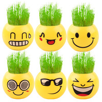 Plante en pot DIY avec poupée en herbe visage souriant, décoration artisanale pour micro-paysage, plante d'intérieur facile d'entretien