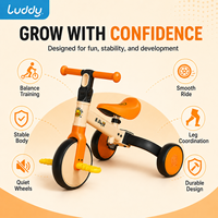 Luddy Custom Kinder 2-in-1 Roller mit verstellbarem Lenker, Kleinkind-Dreirad, Anti-Rollover, Aufsitzspielzeug für drinnen und draußen, 2-6 Jahre