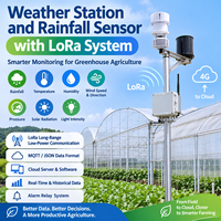Station météo professionnelle extérieure 7 en 1 sans fil Lora, alimentée par énergie solaire, avec capteurs de pluie, vitesse du vent et humidité