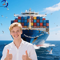 Agente de envío profesional de servicio FBA de China a los Estados Unidos/Reino Unido/Asia Agente de carga marítima más barato DDP/DDU