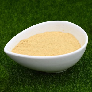 Polvere di Chitosano Oligosaccaride Giallo Chiaro, Additivo Alimentare Nutriente e Intermedi Agrochimici, Numero <span class=keywords><strong>CAS</strong></span> - Product Image 2