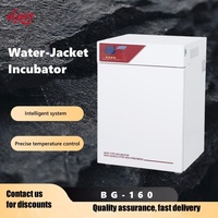 160L Precise Temperature Control Uniform Temperature BOD Detection Reliable Quality Lab Water-Jacket Incubator