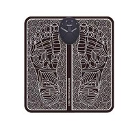 Appareil électrique de tapis de masseur de pieds USB à usage domestique portable avec EMS pour la conception pliable de circulation des bras et des pieds