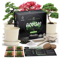 Kit Pohon Bonsai Dalam Ruangan Kit Tanaman Bonsai Pemula Perlengkapan Berkebun untuk Pemula Hadiah Ulang Tahun Anak