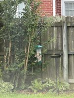 Mangeoire à oiseaux à 4 ports anti-écureuil, mangeoires à oiseaux en métal pour l'extérieur, mangeoire à oiseaux tubulaire suspendue pour l'extérieur, résistante aux intempéries