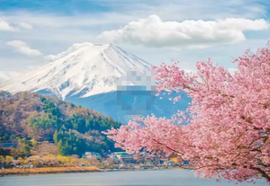 Japan Mount <span class=keywords><strong>Fuji</strong></span> Sakura View 3D Peel and Stick Wallpaper para <span class=keywords><strong>restaurante</strong></span> - Product Image 5