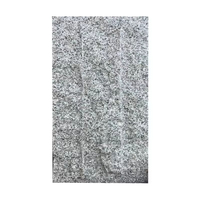Panneaux muraux en mousse PU 3D imitation pierre, installation facile |   Placage en polyuréthane synthétique pour appartements