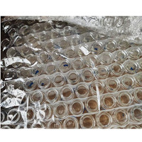 Impression de flacons en verre avec votre propre logo, conception gratuite, étiquette holographique, impression de flacons de 10 ml