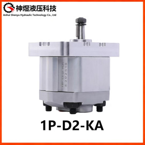 Pompe à engrenages Marzucci ALP1-D-2 50 Lpm 400 Bar Pompe hydraulique haute pression à entraînement électrique Corps entièrement en aluminium - Product Image 2