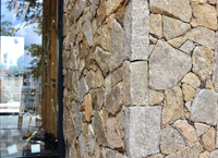 SHIHUI Pierre Naturelle Jaune Tigre Quartzite Texturée Forme Libre Revêtement Mural Extérieur en Pierre Empilée