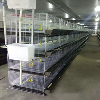 GREAT FARM Cage à cailles de type H pour poulets Cages à volailles automatiques fournies pour poulets pondeuses 3 couches 5 portes 3 ans Fermes de cailles