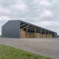 Entrepôt à structure métallique à faible entretien, installation rapide, atelier métallique, garage de stockage, hangar agricole
