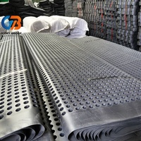 Planche de drainage pour la construction, barrière anti-infiltration pour tunnel de sous-sol, résistante à la pression et aux perforations par les racines