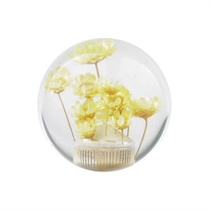 <span class=keywords><strong>Pommeau</strong></span> <span class=keywords><strong>de</strong></span> levier <span class=keywords><strong>de</strong></span> <span class=keywords><strong>vitesse</strong></span> en acrylique Vibrant Star Flower-Montage à vis, 54mm en jaune, vert, rose, violet-Tête <span class=keywords><strong>de</strong></span> changement <span class=keywords><strong>de</strong></span> <span class=keywords><strong>vitesse</strong></span> jeune pour toutes les voitures - Product Image 1