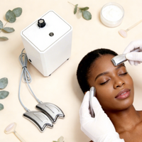 Alternatives N6 Instrumento Facial de Doble Sonda con Mango de Elevación para Limpieza y Esculpido Facial, Creación de Rostro en V, Restauración de la Elasticidad de la Piel