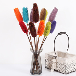 Hoa Nhân Tạo Thủ Công Dipsacus Saus US Teasel Ấn Độ Để Trang Trí Nhà - Product Image 6