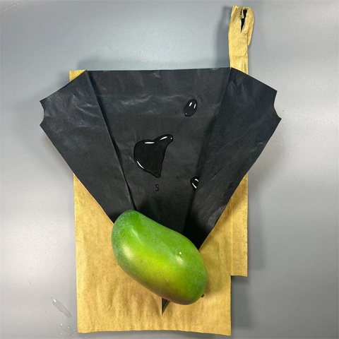 Fruit Protection Bags India for Mango Bags India - Local &amp; Trusted
