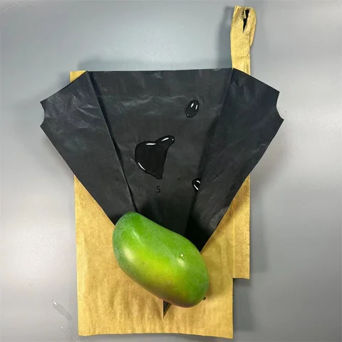 Mango Protection Bag Price