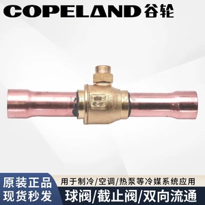 Robinet à bille Copeland 2 pouces NPT type gate pour réfrigérant et climatisation - Product Image 4