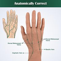 Kit d'entraînement IV gériatrique pour la pratique de l'insertion intraveineuse, kit de pratique IV pour les mains des personnes âgées, destiné aux étudiants en soins infirmiers et aux professionnels médicaux CE/ISO