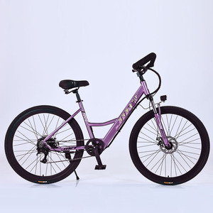 JINT <b>Electric</b> City Bike 26 Inch Rear <b>Hub</b> Motor Lithium Battery Rigid Frame Commuter Bike - Product Image 4