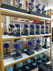 Dôme de <span class=keywords><strong>rose</strong></span> lumineux à LED <span class=keywords><strong>Rose</strong></span> <span class=keywords><strong>La</strong></span> Belle et <span class=keywords><strong>la</strong></span> Bête <span class=keywords><strong>prix</strong></span> raisonnable <span class=keywords><strong>Rose</strong></span> <span class=keywords><strong>éternelle</strong></span> préservée enchantée dans un dôme de verre - Product Image 6