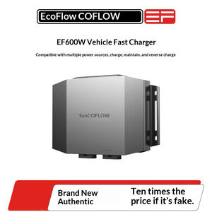 Ecoflow เครื่องชาร์จกระแสสลับ600วัตต์การชาร์จแบบย้อนกลับแบบสองทิศทางและการบำรุงรักษาแบตเตอรี่2026รุ่นใหม่สูงสุด1000วัตต์ - Product Image 5