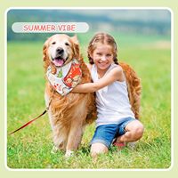 Bandana et bavoirs de luxe ajustables en velours côtelé et polyester pour chiens et chats, fabrication OEM/ODM