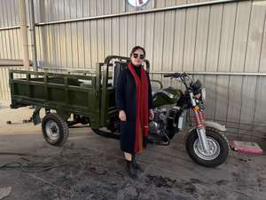 Véhicule à trois roues à essence haute puissance de 300 cm³ le plus vendu pour le <span class=keywords><strong>transport</strong></span> de marchandises - Product Image 4