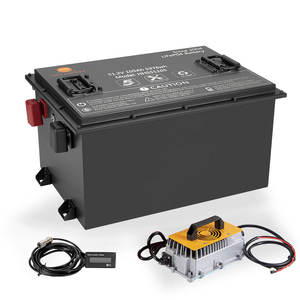 ミニゴルフカートバッテリー48ボルトカートバッテリー48ボルト36ah80ah電気ゴルフカーバッテリーパック - Product Image 1