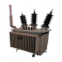 Transformador de Potencia Trifásico de Baja Pérdida 11kV 15kV 6kV a 415V 440V 480V para Redes de Distribución Eléctrica