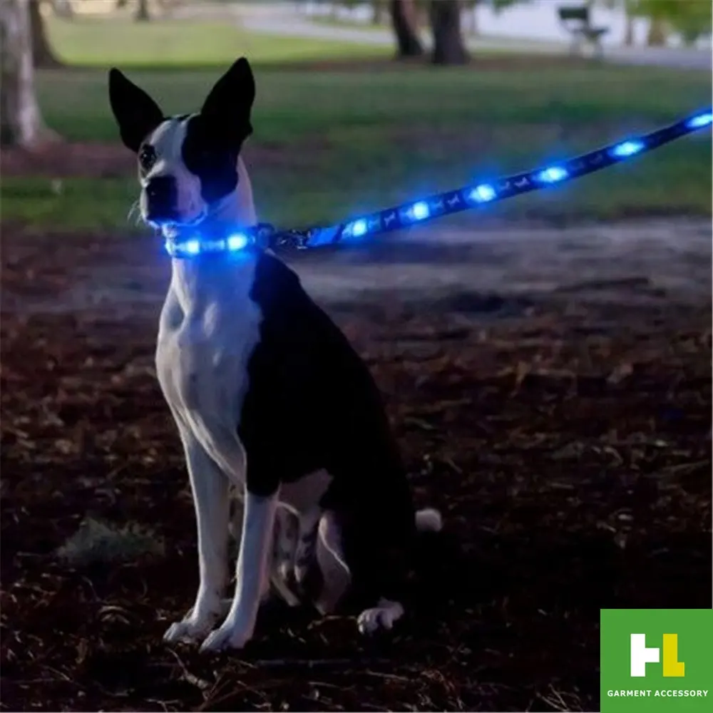 Bán Chạy Nhất Sản Phẩm Vật Nuôi Đa Màu Puppy Dog An Toàn Flashing LED Dây Xích