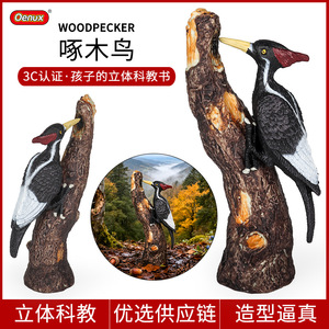 Brinquedos de simulação de animais sólidos para crianças, ornamentos de pássaros, <span class=keywords><strong>pica-pau</strong></span>, doutor da floresta, presentes cognitivos benéficos - Product Image 1
