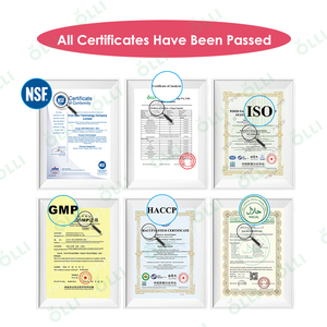 OLLI OEM 5g Creatina Monohidrato Colágeno Tipos I II III V X Proteína en Polvo Vitamina C Ácido Hialurónico 30 Porciones - Product Image 6