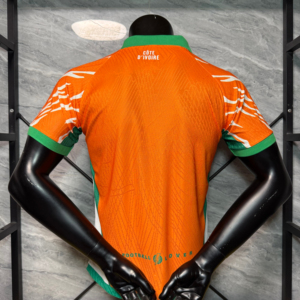 Uniforme de l'équipe nationale de football de Côte d'Ivoire personnalisable, 100% polyester, col rond, manches courtes, impression par transfert thermique, anti-UV - Product Image 2