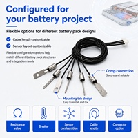 Ensemble de sonde de température NTC GAIMC pour pack de batteries, gestion thermique BMS, câble multi-branche personnalisé