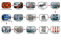 Full Small Scale Industry Tomato Paste Pulp Production Line for Tomato Sauce Paste Maker Making Machine