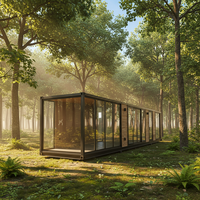 Villa en bois préfabriquée de luxe fabriquée en Chine pour mini-maisons, bureaux, bâtiments en conteneurs, structures en acier, panneaux sandwich, hôtels