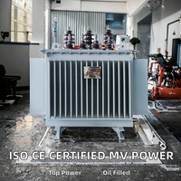 Transformateur de distribution triphasé à bain d'huile 50 kVA 500 kVA 630 kVA, entrée 11 kV/22 kV, sortie 0,4 kV 480 V, avec certificat CE ISO