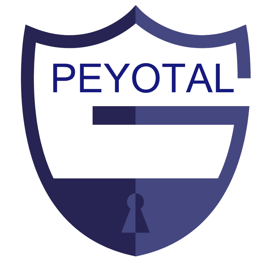 Dongguan Peyotal Information Technology Co., Ltd. logo
