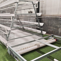 Cage à poules pondeuses de type A, cage en batterie galvanisée à chaud avec abreuvement automatique et nettoyage automatique du fumier pour élevage avicole