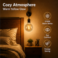 Ampoule LED Edison G80 E27, imitation filament de tungstène rétro, verre brun foncé, éclairage décoratif, 2700K, blanc chaud doux