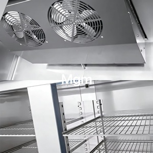 Refrigerador Comercial Sin Escarcha de Gran Capacidad para Tiendas de Comestibles y Exhibición de Alimentos - Product Image 5
