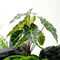 Tanaman Daun Caladium Plastik Tiruan Real Touch Grosir, Pohon Tanaman Artifisial Tahan Lama untuk Dekorasi Rumah & Pernikahan
