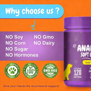 Salud de Mascotas: Masticable Suave Personalizado para Glándulas Anales de Perros, para Diarrea y Acondicionamiento Intestinal, Nutrición para Mascotas, Origen Guangdong, Sabor - Product Image 2