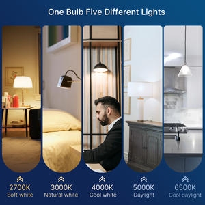 Bombilla LED lista para enviar, luz SMD 5CCT, Bombilla seleccionada A21, luz E26 110-130V, 12W, 1100LM, uso de bombilla para uso residencial certificado ETL - Product Image 3